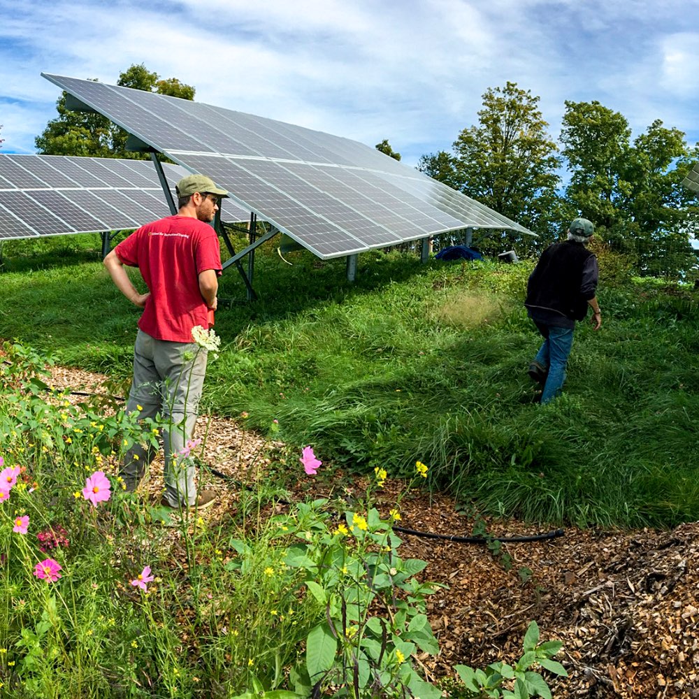 Pursue a master's in sustainable development online! This hybrid part-time degree provides a master's in sustainability online and teaches how to build thriving communities through innovative and regenerative sustainable practices.