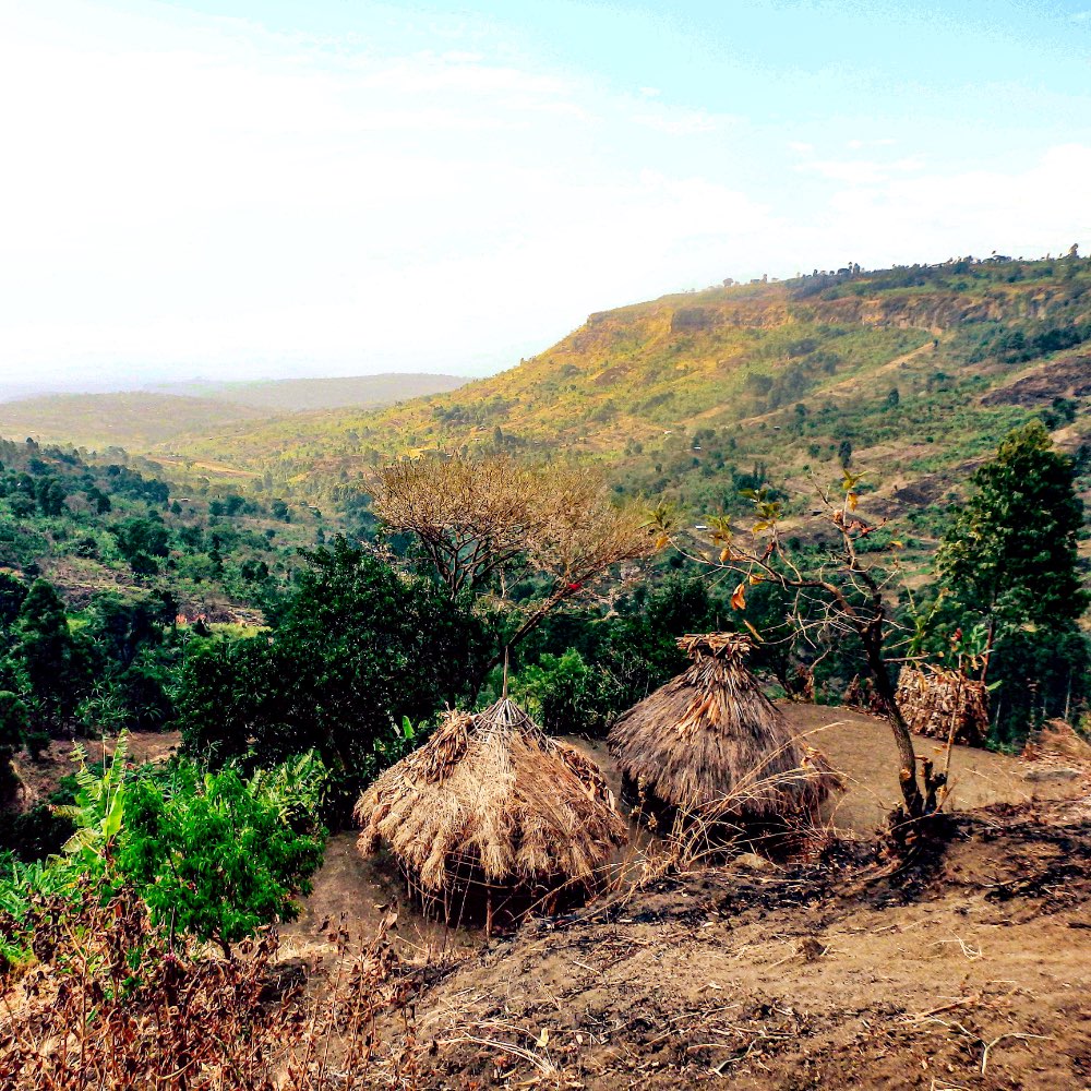 Countryside and huts in rural Uganda